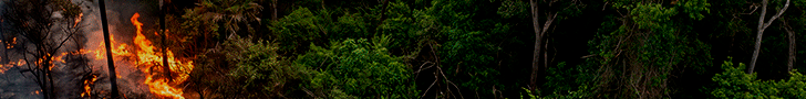 Anúncio topo 1