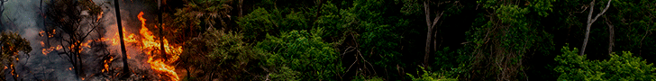 Anúncio topo 1