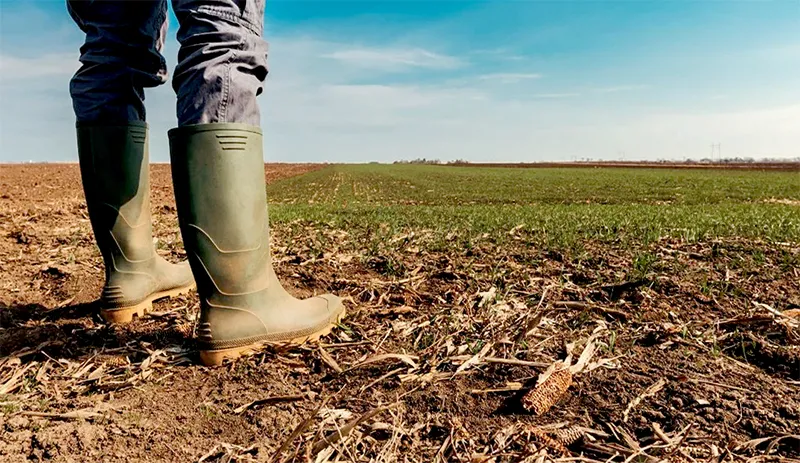 Desenrola rural prevê descontos de até 96% em dívidas de agricultores