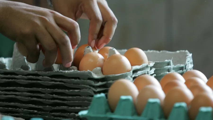 Prévia da inflação de março é de 0,64%, com tomate, café e ovos mais caros
