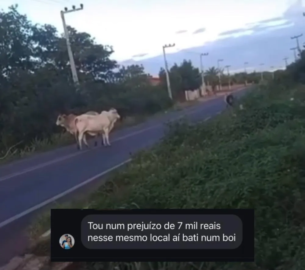 Imagem: Reprodução/Redes Sociais
