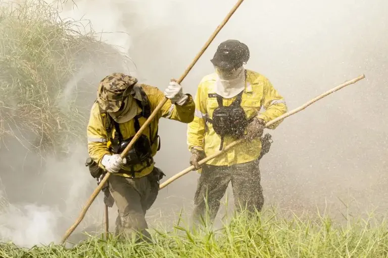 Governo Federal contratará brigadas para combater incêndios no Piauí