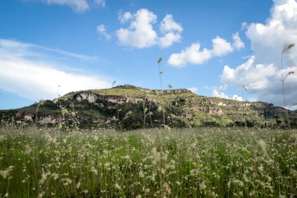 Semarh divulga resultado preliminar do Selo Ambiental 2025 no Piauí