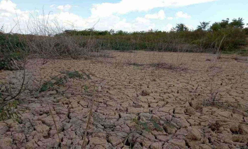 Governo federal autoriza repasse a três cidades do Piauí atingidas pela seca
