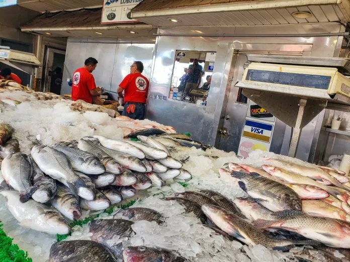 Setor de pescados pede reabertura emergencial de mercado europeu e crédito de R$ 900 mi