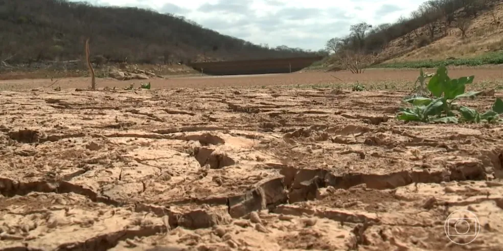 Fartura do Piauí enfrenta colapso hídrico devido à seca e ausência de chuvas desde 2024. — Foto: Reprodução