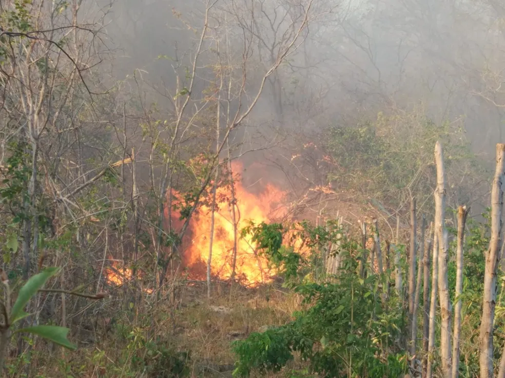 Bombeiros alertam sobre riscos de atear fogo em lixo e vegetação