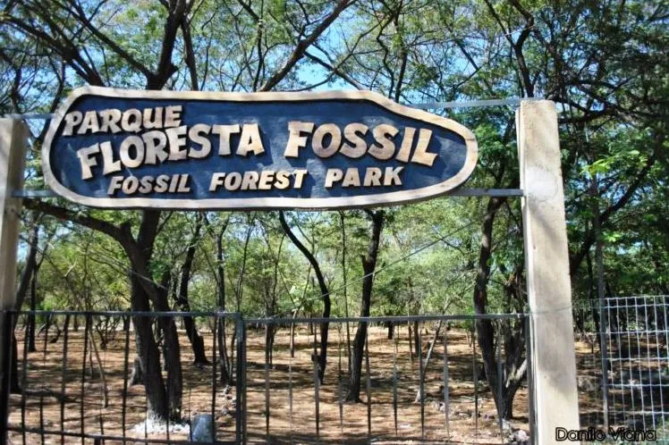 ​​Parque Floresta Fóssil, em Teresina, será renomeado em homenagem à Niède Guidon