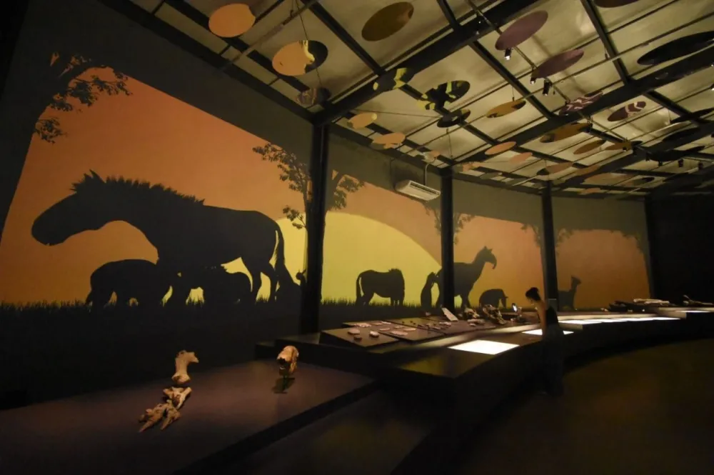 Museus da Serra da Capivara atraem mais de 28 mil visitantes em 2025 e fortalecem turismo