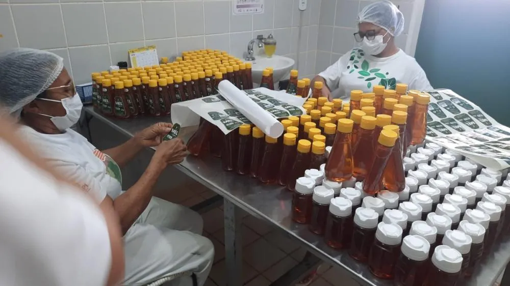 Governo do Piauí busca novos mercados para mel piauiense após sobretaxa dos EUA