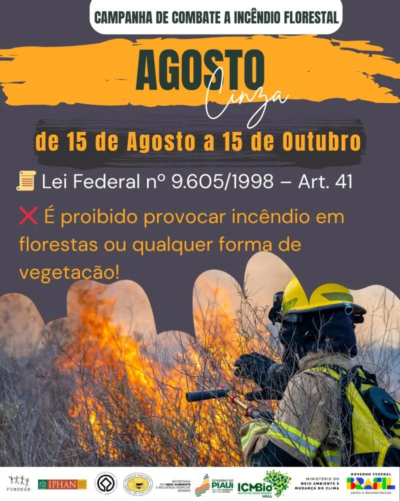 Piauí proíbe uso do fogo até outubro para prevenir queimadas e proteger meio ambiente
