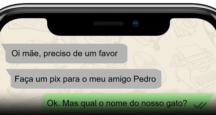 Golpe “familiar em apuros” é novamente o mais registrado em agosto no Piauí
