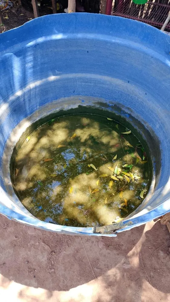 Imagem enviada ao Portal SRN na localidade Vereda, zona rural de São Raimundo Nonato
