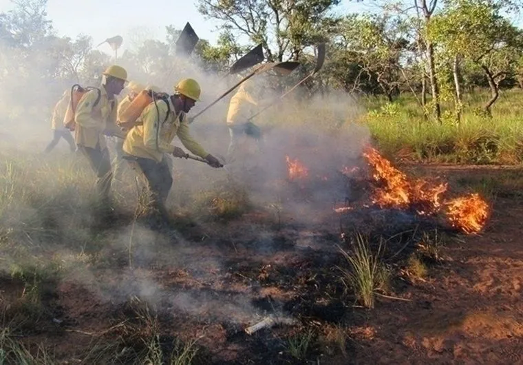 Piauí prorroga proibição do uso do fogo em áreas rurais e florestais