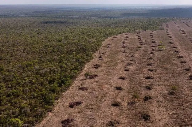 MPF aciona Justiça contra grilagem de 110 mil hectares em estação ecológica no Piauí