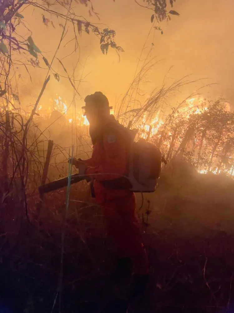 Piauí prorroga proibição do uso do fogo por mais um mês