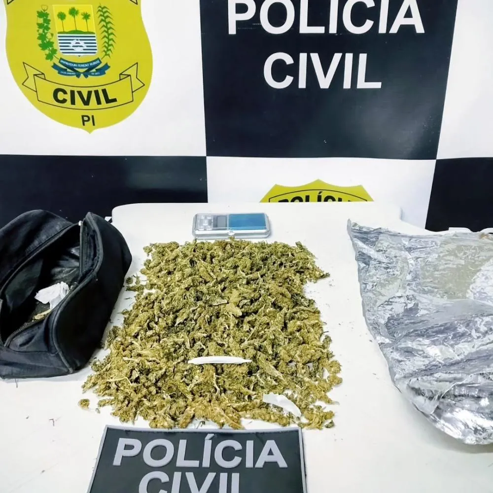 Polícia Civil intercepta droga interestadual e prende suspeito em Dirceu Arcoverde