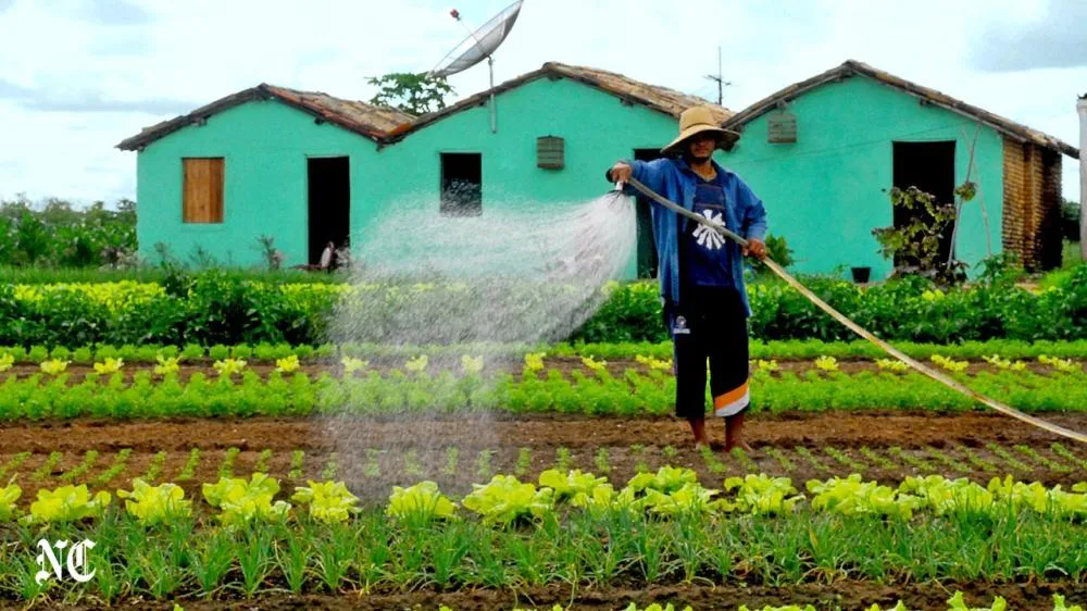 Produtor rural deve atualizar cadastro para manter desconto na conta de energia 
