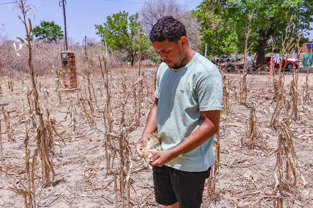 Piauí registra 125 municípios em situação de emergência por seca
