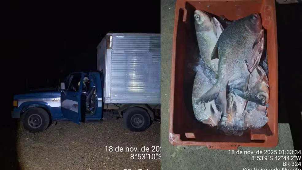 Polícia apreende uma tonelada de pescado irregular em São Raimundo Nonato — Foto: Polícia Militar