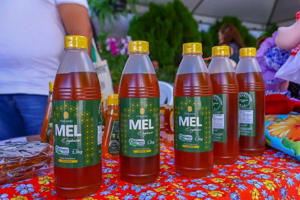 Produtores de mel deverão reduzir preço do produto para garantir exportações