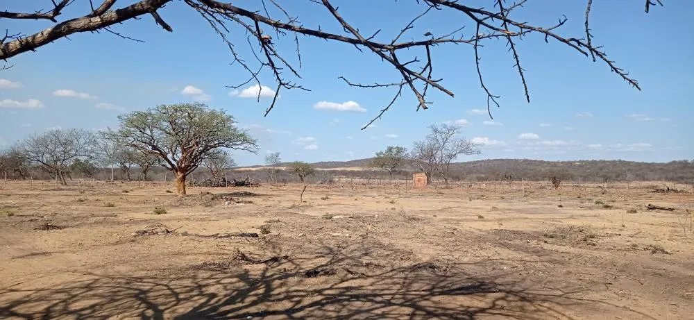 Calor intenso e tempestades devem marcar os próximos dias
