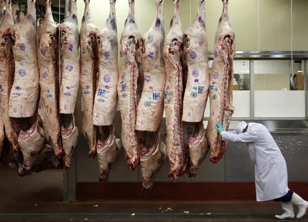 China aplicará tarifas de 55% à carne brasileira, diz ministério