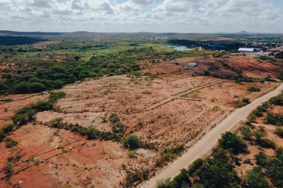Avanço de quase 10% do desmatamento na Caatinga expõe pressão sobre o semiárido