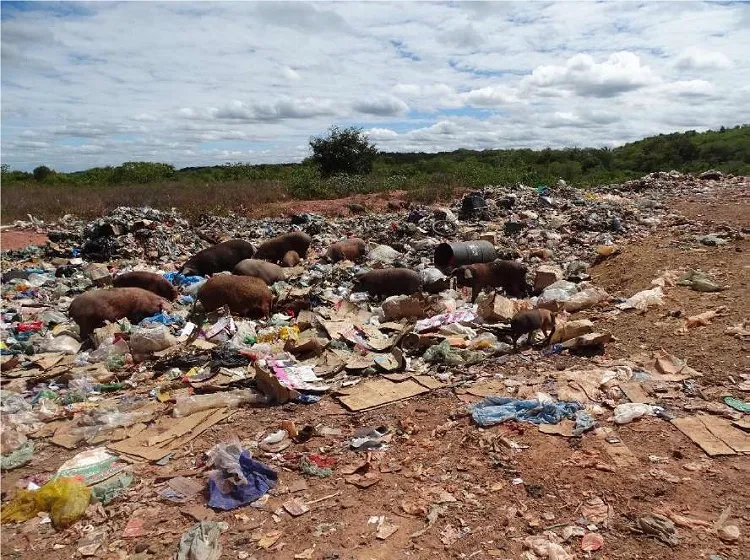Municípios do Piauí podem perder recursos do ICMS se não derem destino correto ao lixo