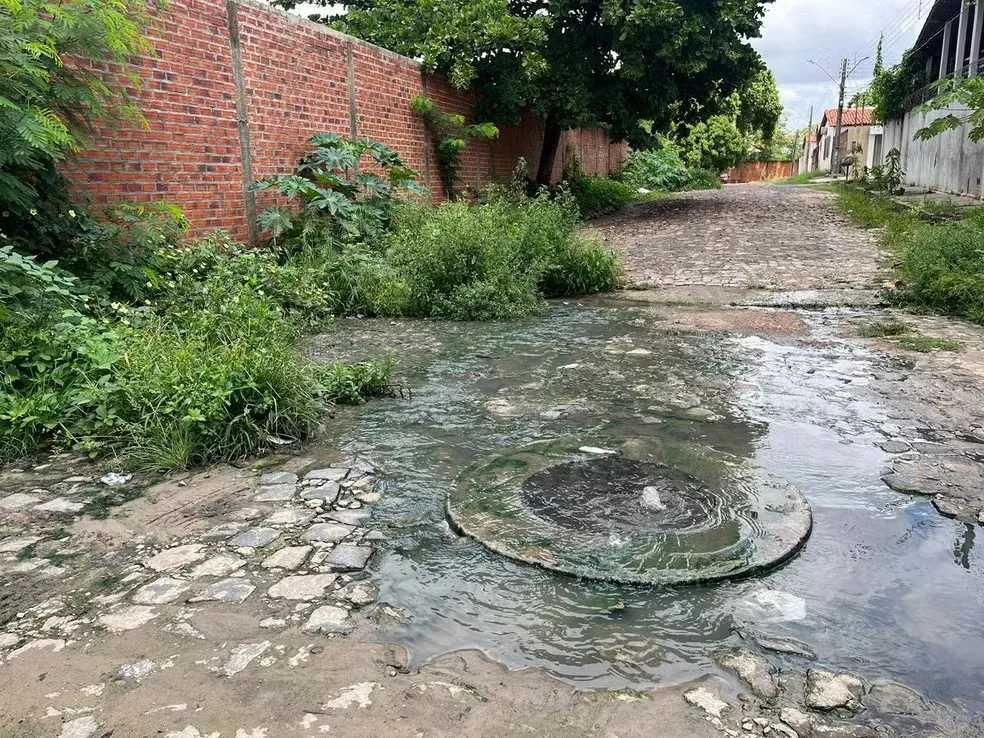Imagem: Reprodução