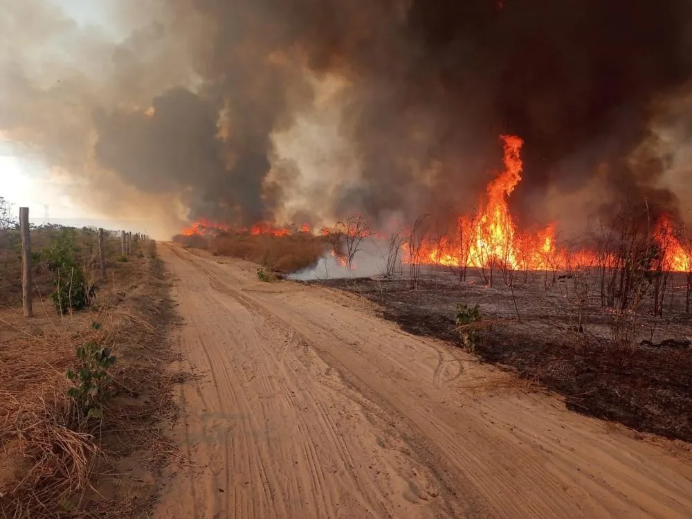 Brasil tem 1.867 focos de incêndio em fevereiro, alta anual de 2,6%