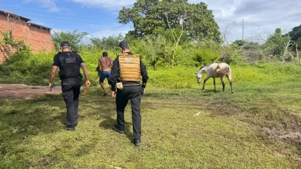 Dono de cavalo que causou morte de jovem em acidente com moto é alvo de operação no Piauí
