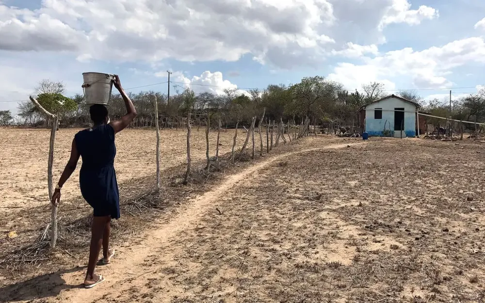 Imagem: Reprodução