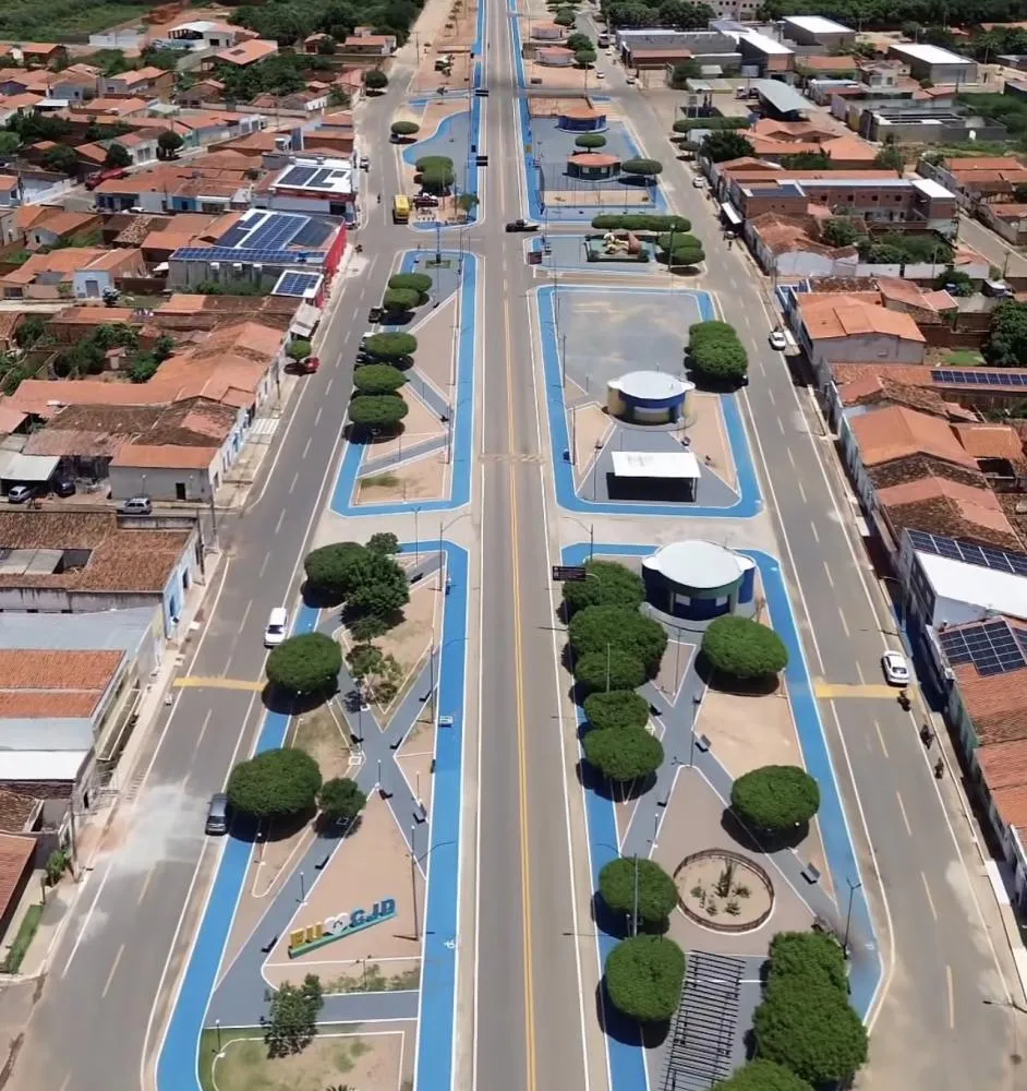 Coronel José Dias - Imagem: Reprodução