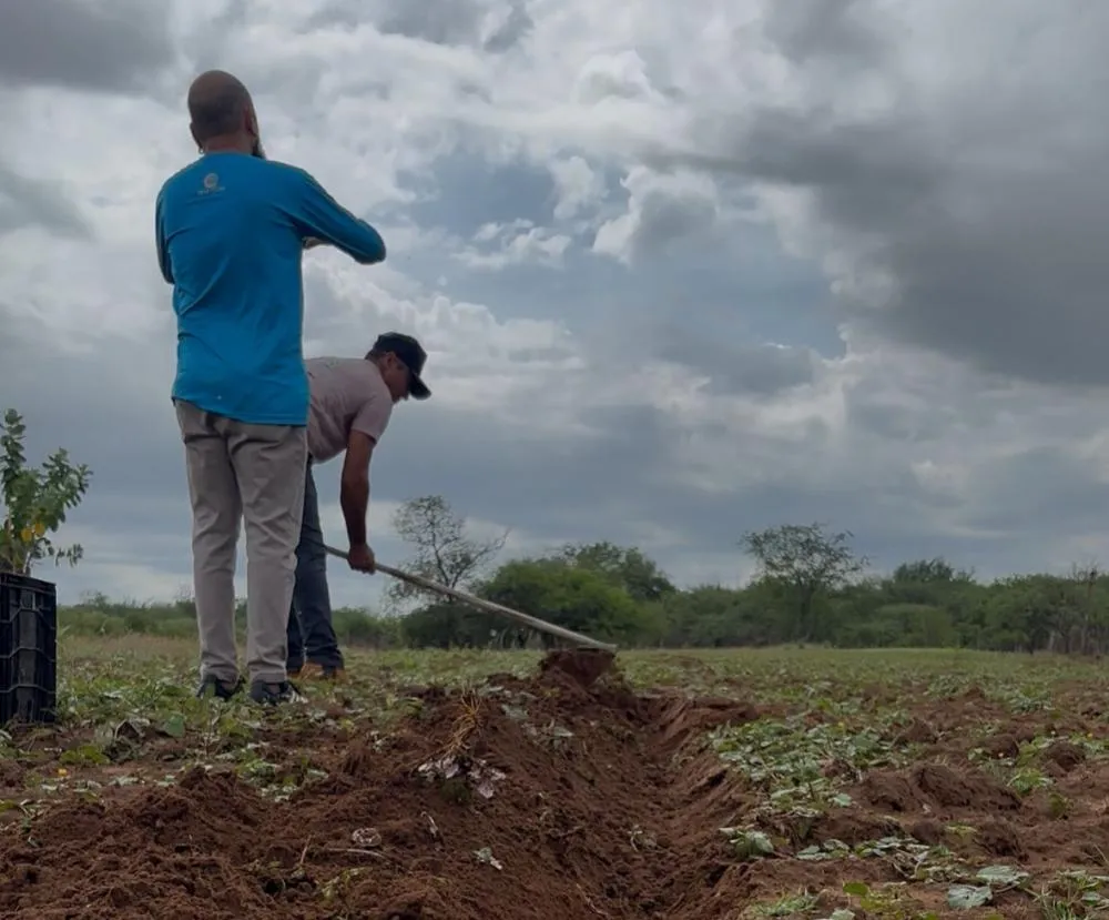 Piauí tem 54 municípios sem registro de seca; cenário não acontecia desde 2024