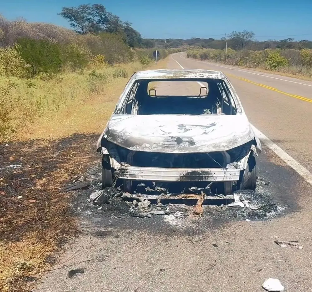 Onix é encontrado completamente destruído pelo fogo na BR-020 em Várzea Branca