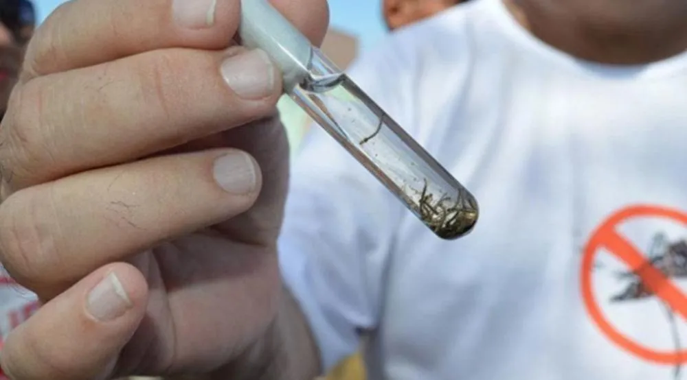 Piauí confirma 11 mortes por dengue em 2026 e ultrapassa 14 mil casos prováveis