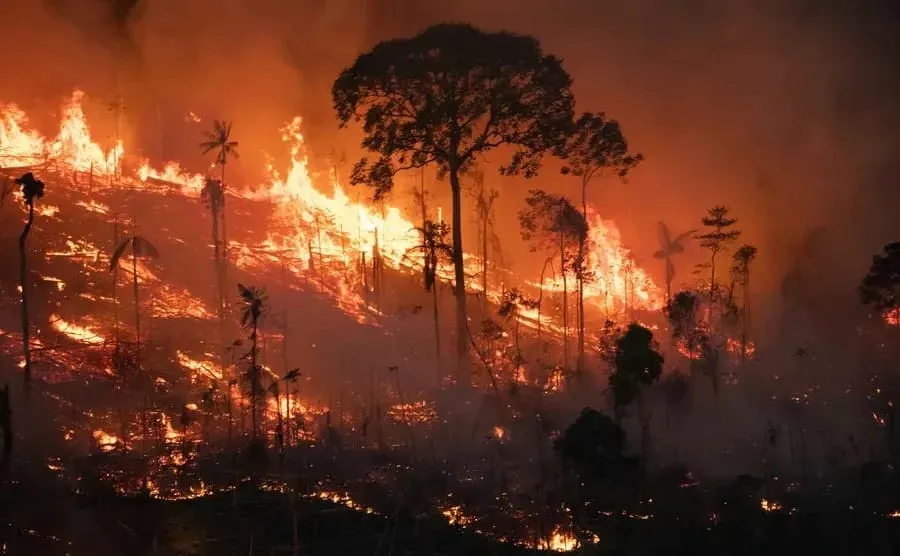 Queimadas consumiram 12,4 milhões de hectares no Piauí em quatro décadas