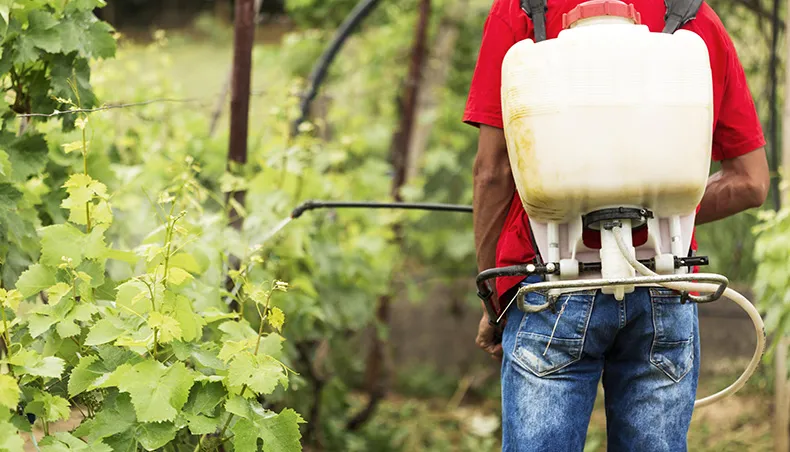 Piauí amplia controle sobre venda e uso de agrotóxicos; cadastro será obrigatório
