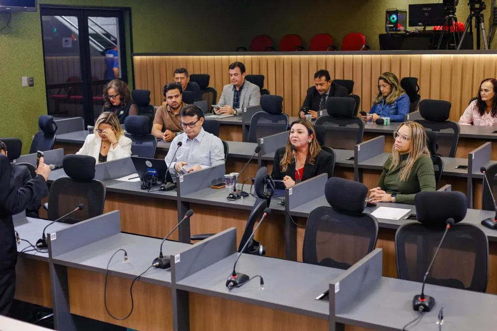 Ensino sobre o Piauí pode se tornar obrigatório nas escolas; Alepi debate proposta