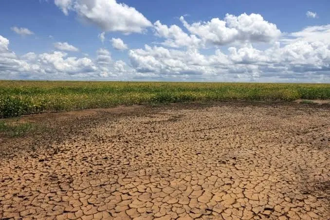 Governo decreta situação de emergência por seca em mais de 100 municípios do Piauí