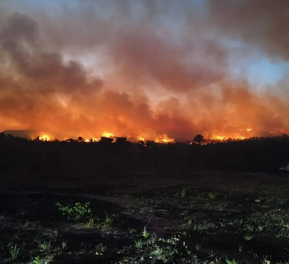Foto: Divulgação / Brigada de incêndio