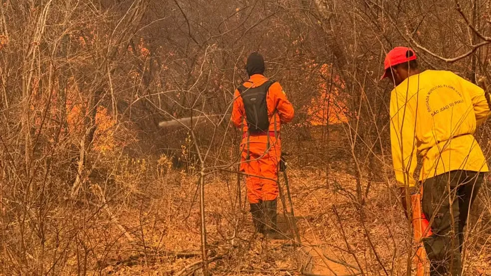 Incêndio atinge São João do Piauí — Foto: Secretaria Municipal de Meio Ambiente de São João do Piauí