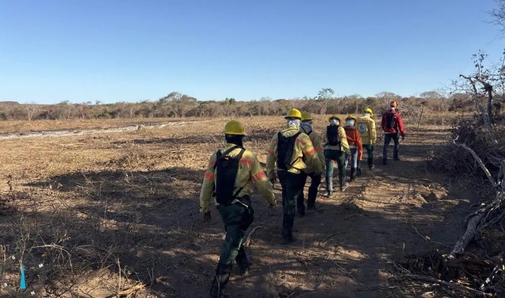 Piauí registra menor número de queimadas para setembro em uma década