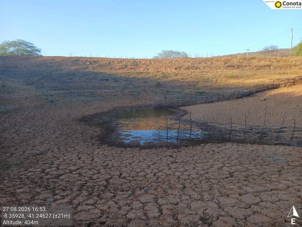 Piauí chega a 73 cidades em emergência por seca após decreto federal
