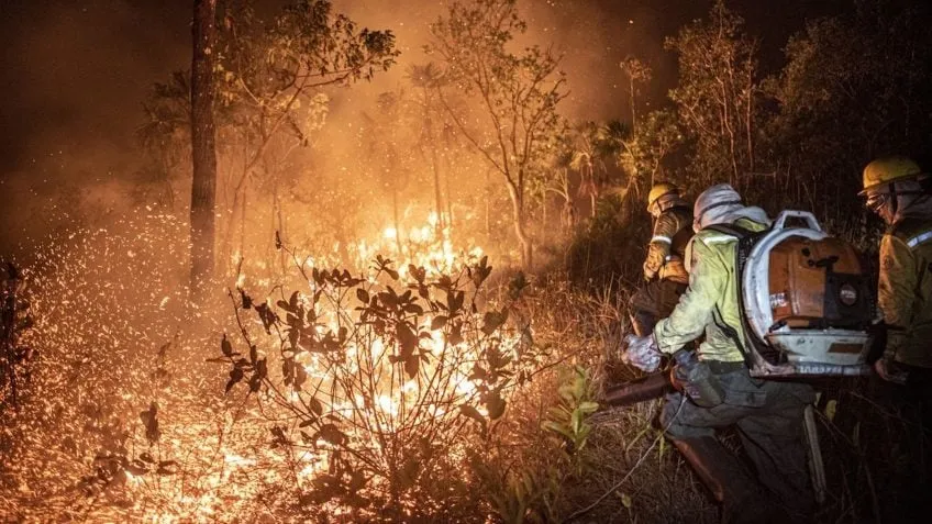 Imagem: Reprodução