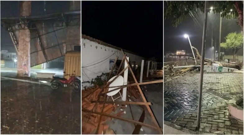 Temporal com ventos fortes derruba árvores e causa estragos em São Raimundo Nonato