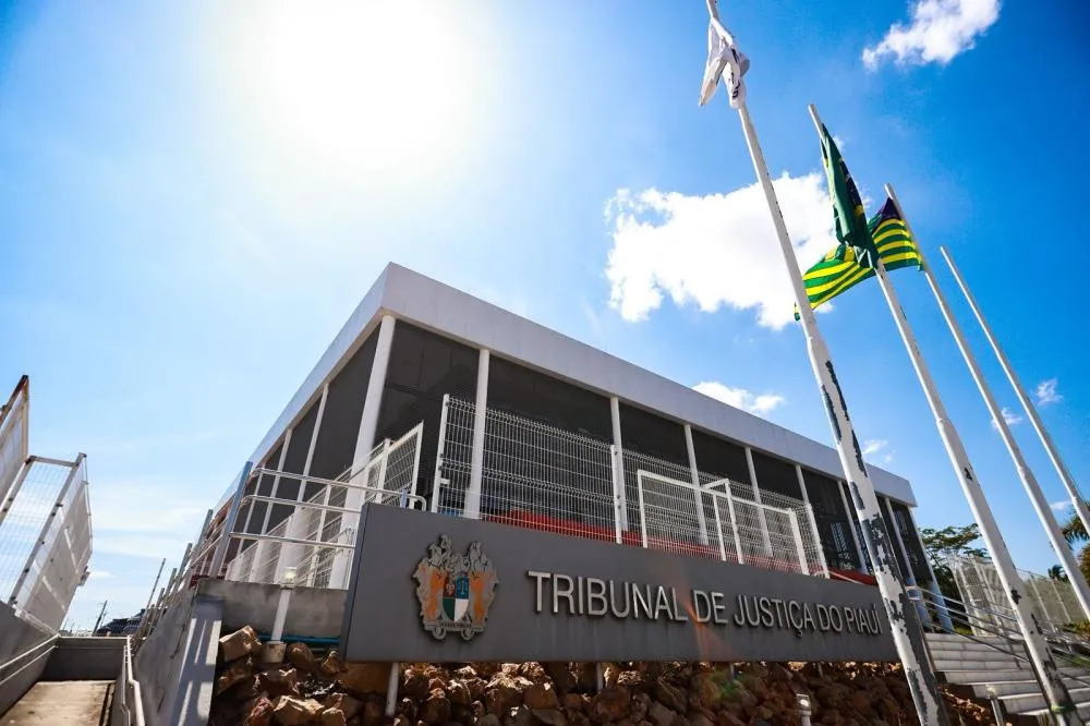 TJ/PI pune juíza de Demerval Lobão com remoção compulsória